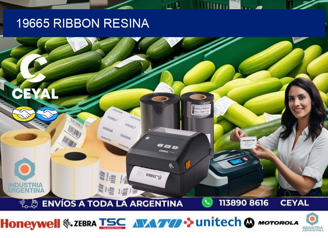 19665 Ribbon resina