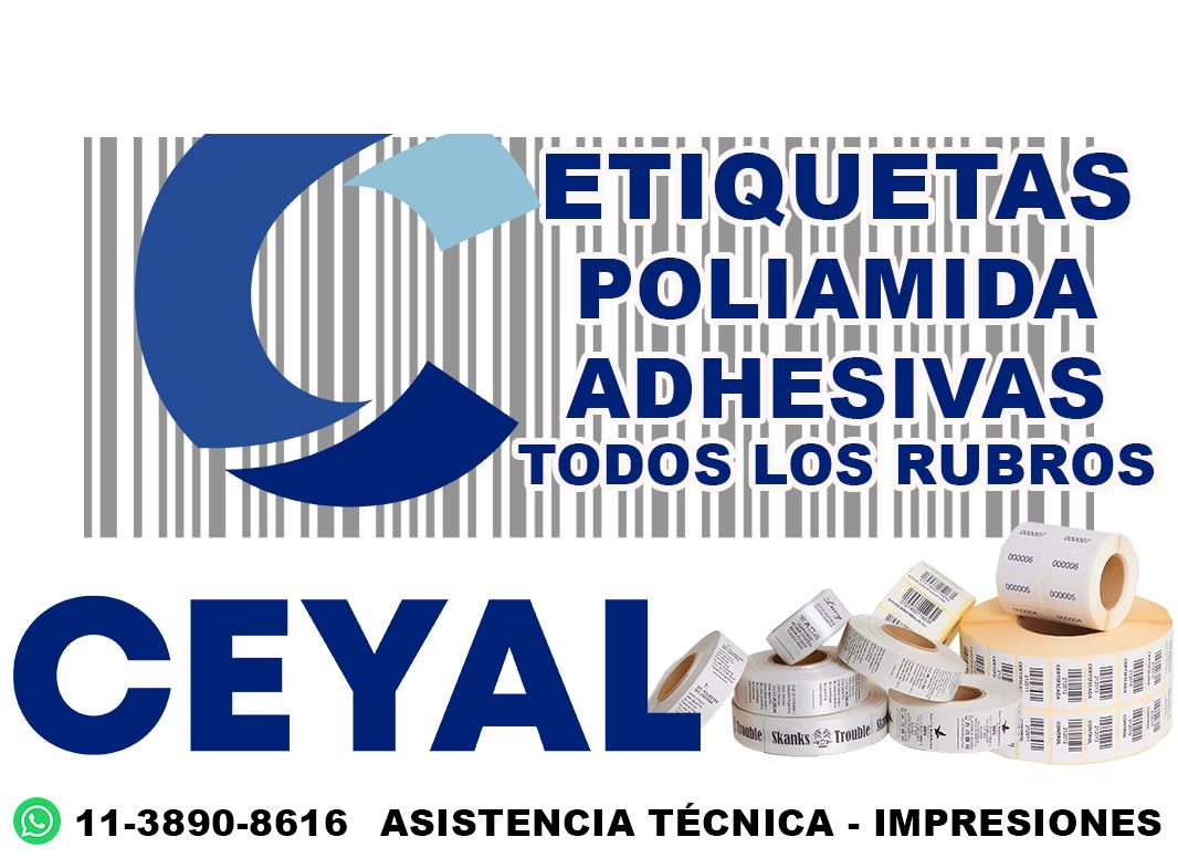 20030 Zebra ZD220  Bluetooth ZD220  305E00EZ