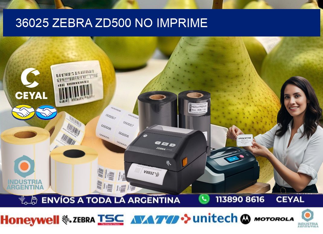 36025 Zebra ZD500 no imprime