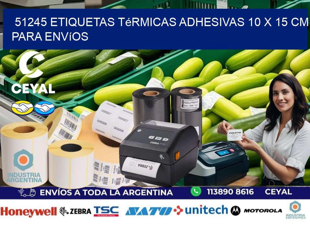 51245 Etiquetas Térmicas Adhesivas 10 x 15 cm para Envíos