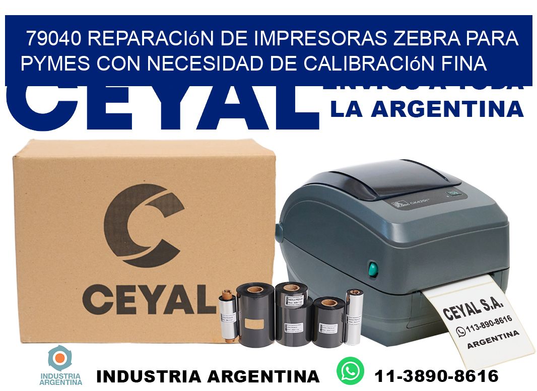 79040 reparación de impresoras zebra para pymes con necesidad de calibración fina