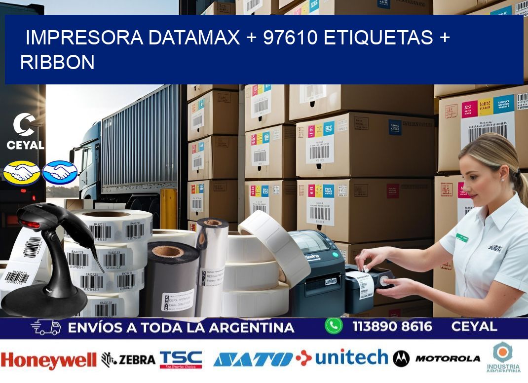 impresora DATAMAX + 97610 etiquetas + ribbon