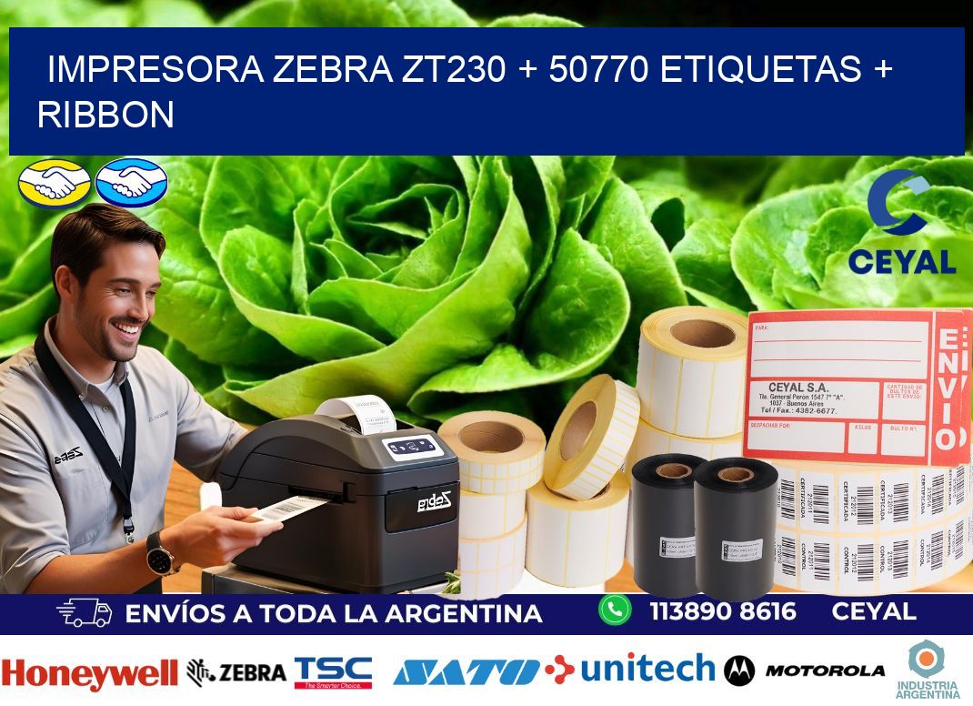 impresora zebra zt230 + 50770 etiquetas + ribbon