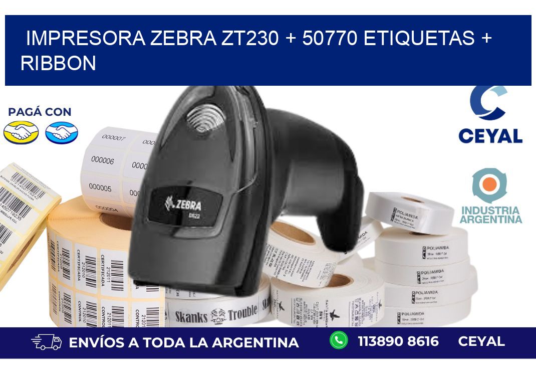 impresora zebra zt230 + 50770 etiquetas + ribbon