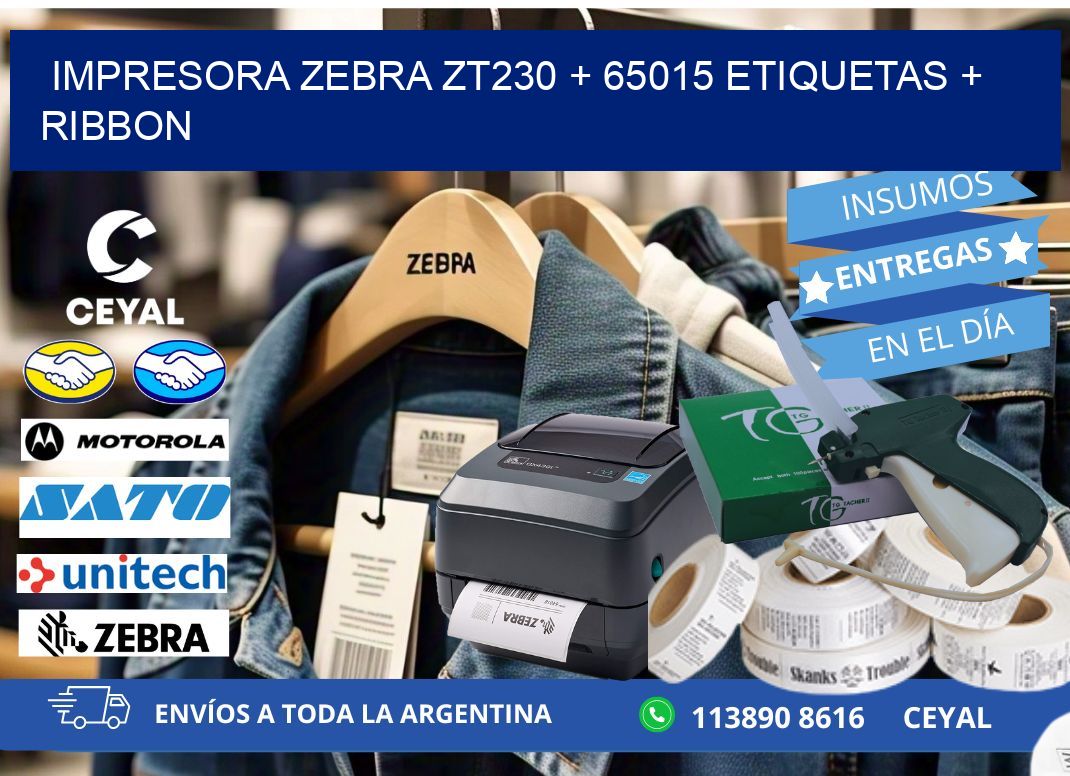 impresora zebra zt230 + 65015 etiquetas + ribbon