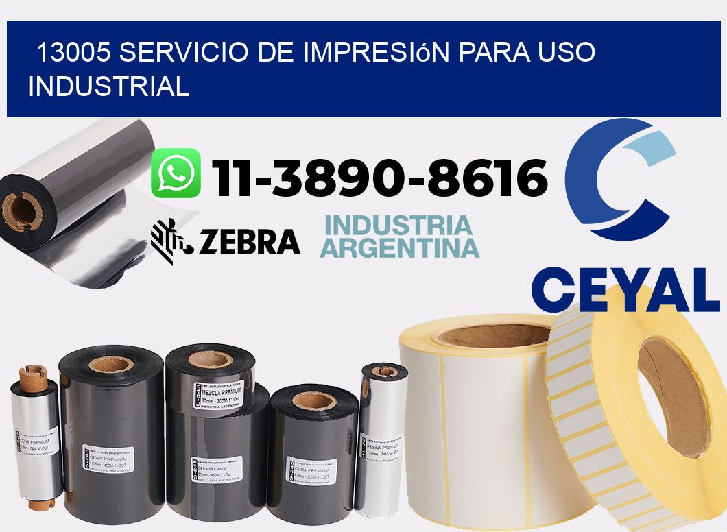 13005 Servicio de impresión para uso industrial