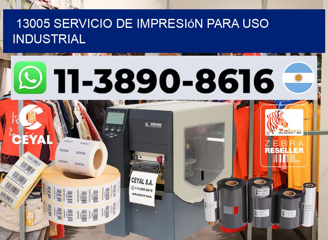 13005 Servicio de impresión para uso industrial