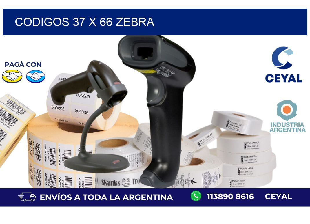 codigos 37 x 66 zebra