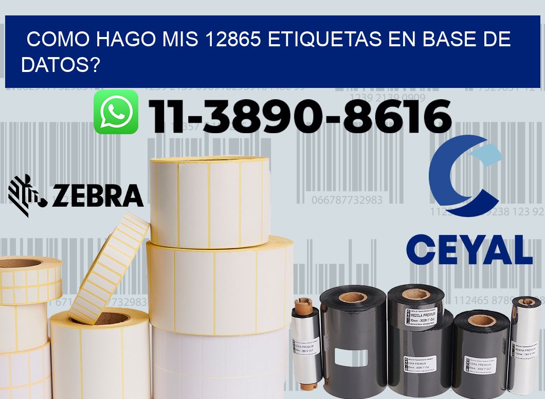 como hago mis 12865 etiquetas en base de datos?