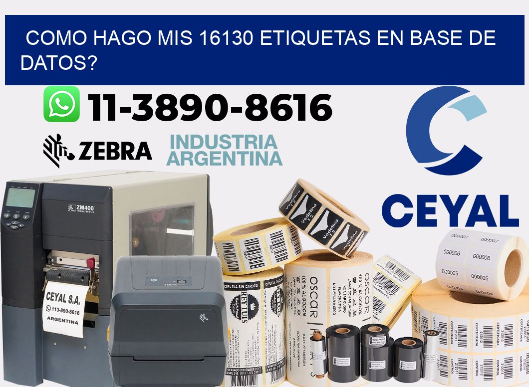 como hago mis 16130 etiquetas en base de datos?