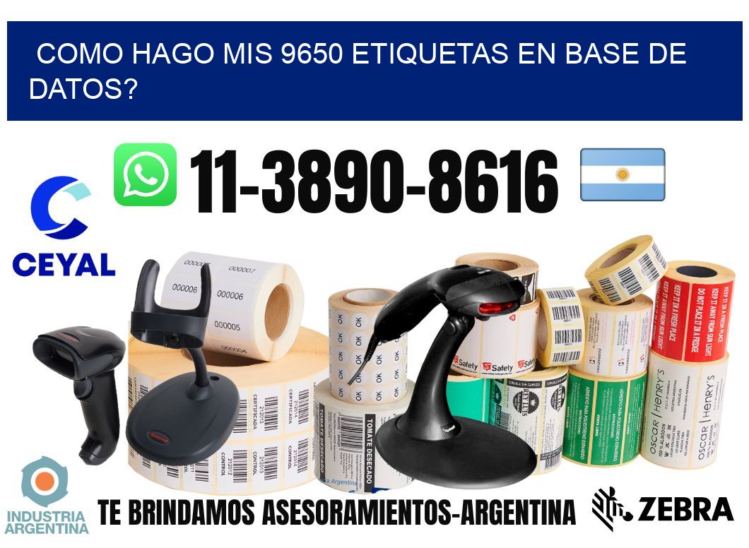 como hago mis 9650 etiquetas en base de datos?