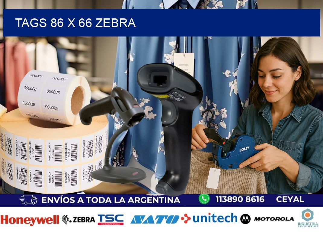 tags 86 x 66 zebra