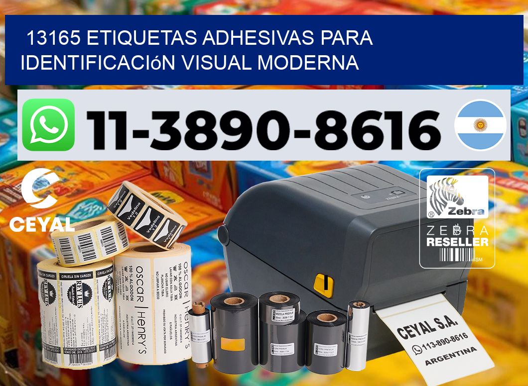 13165 Etiquetas adhesivas para identificación visual moderna