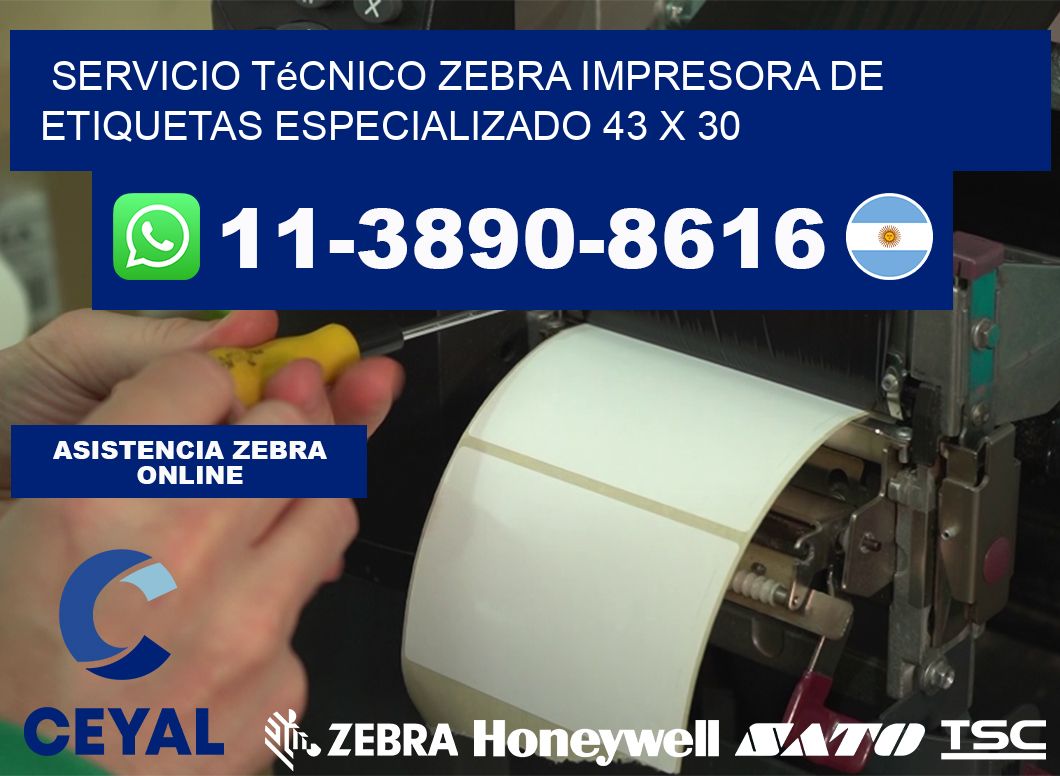 Servicio Técnico Zebra Impresora de Etiquetas Especializado 43 x 30