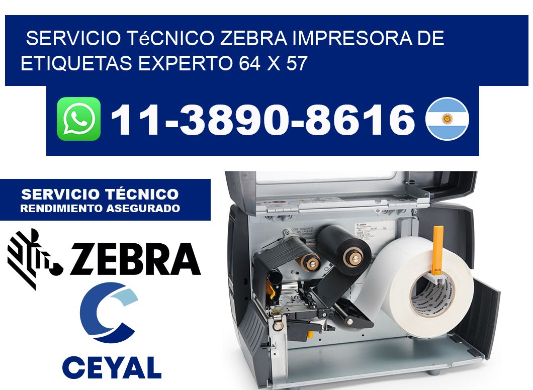 Servicio Técnico Zebra Impresora de Etiquetas Experto 64 x 57