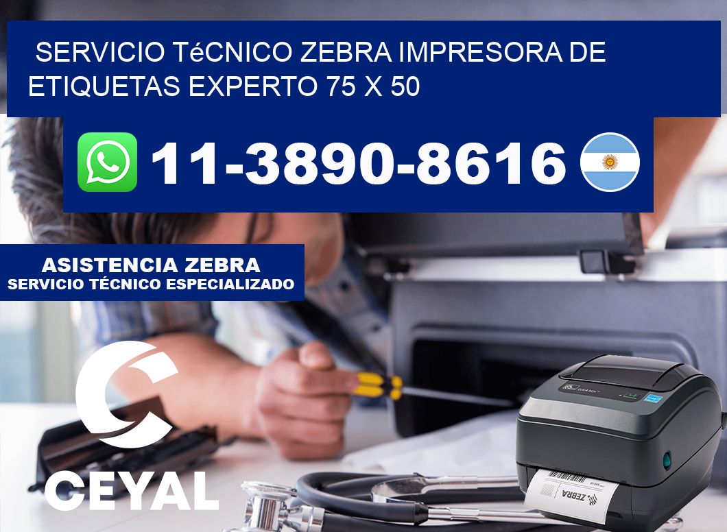Servicio Técnico Zebra Impresora de Etiquetas Experto 75 x 50