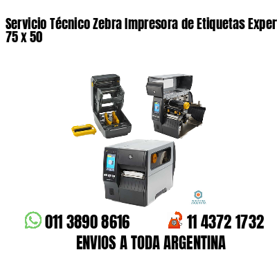 Servicio Técnico Zebra Impresora de Etiquetas Experto 75 x 50