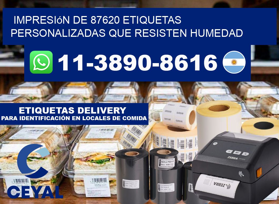 impresión de 87620 etiquetas personalizadas que resisten humedad