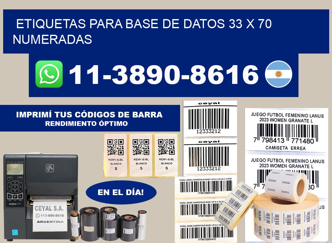 etiquetas para base de datos 33 x 70 numeradas