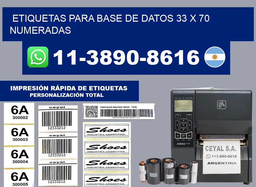 etiquetas para base de datos 33 x 70 numeradas