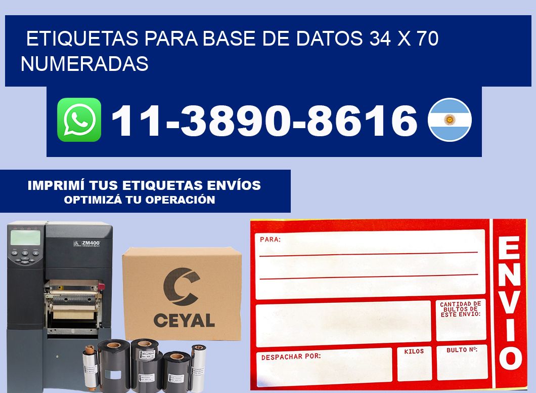 etiquetas para base de datos 34 x 70 numeradas