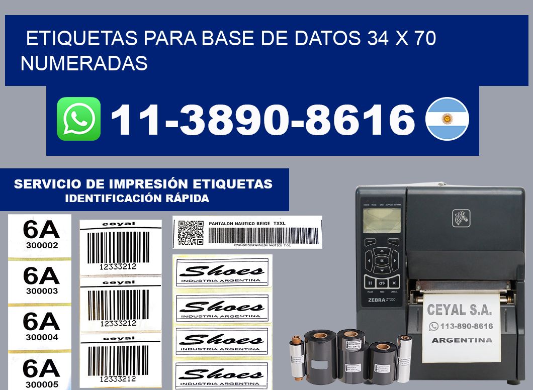 etiquetas para base de datos 34 x 70 numeradas