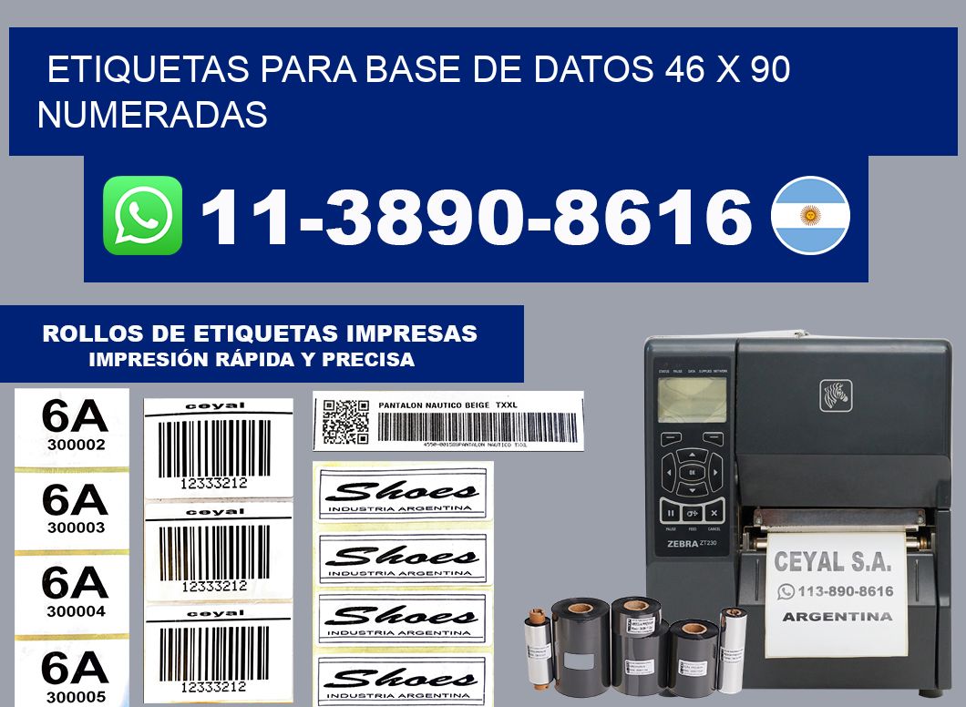 etiquetas para base de datos 46 x 90 numeradas