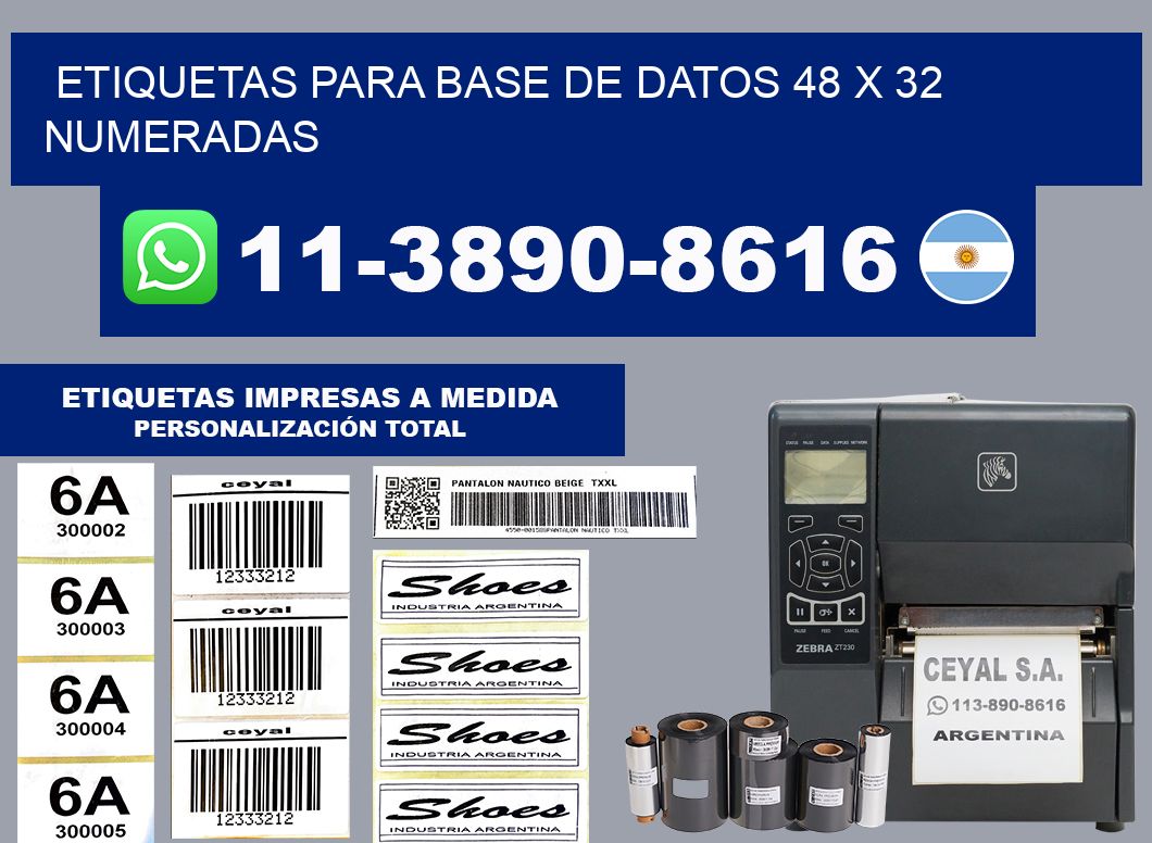 etiquetas para base de datos 48 x 32 numeradas