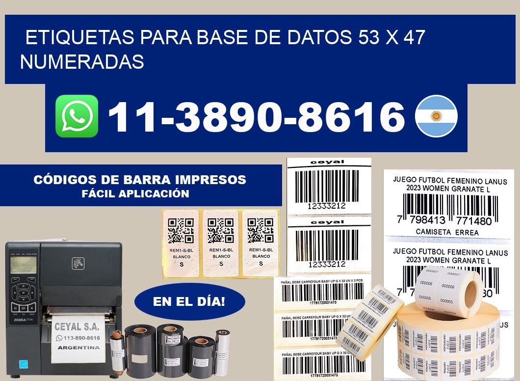 etiquetas para base de datos 53 x 47 numeradas