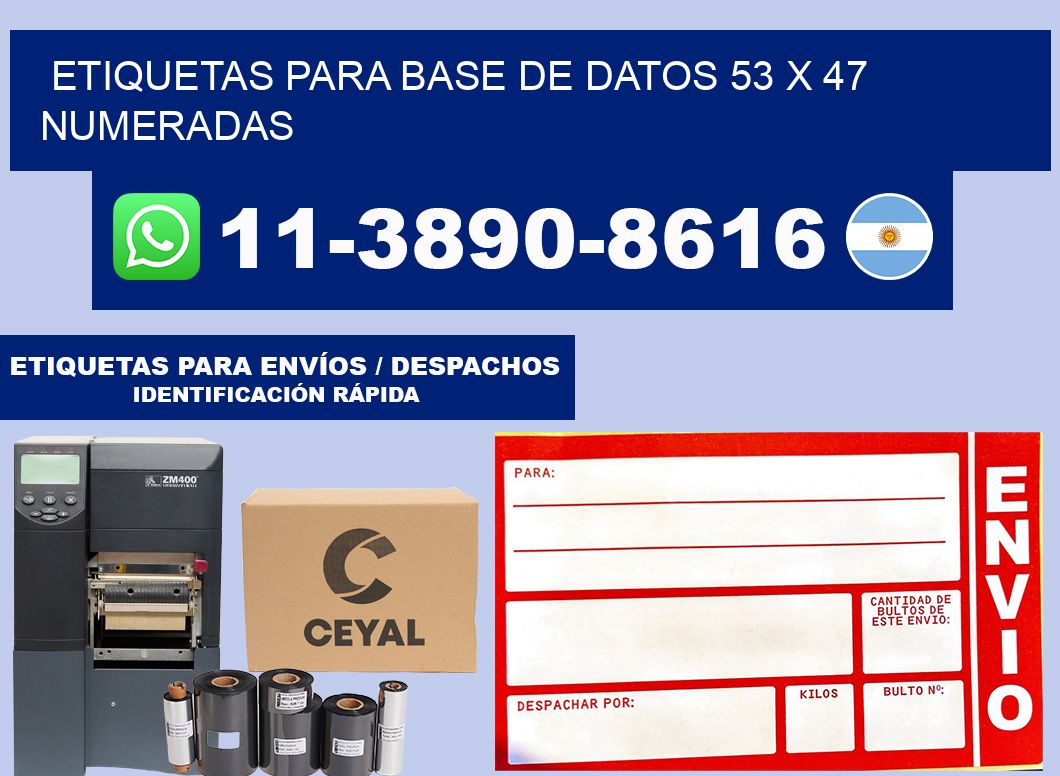 etiquetas para base de datos 53 x 47 numeradas