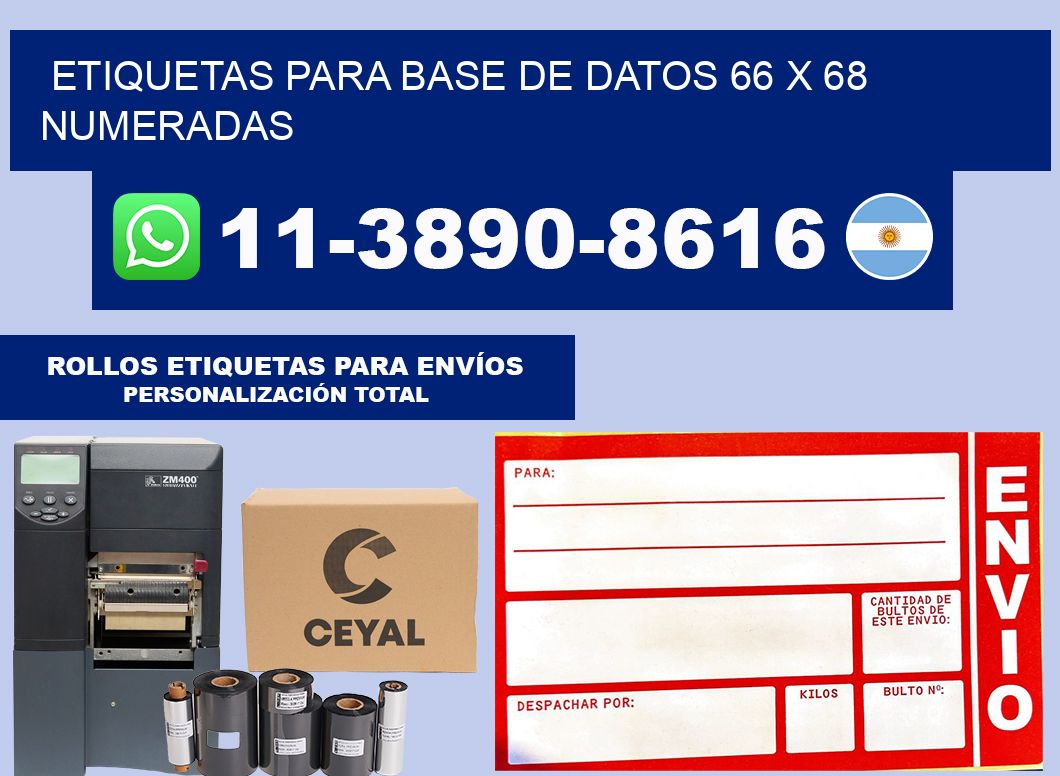 etiquetas para base de datos 66 x 68 numeradas