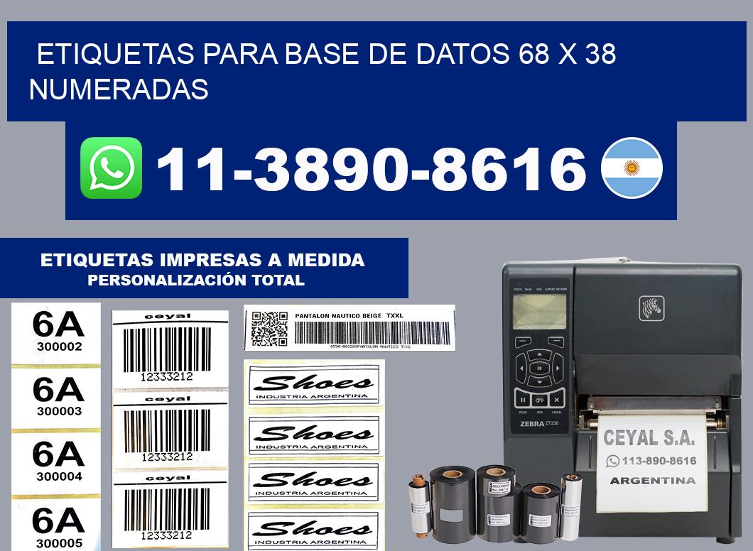 etiquetas para base de datos 68 x 38 numeradas