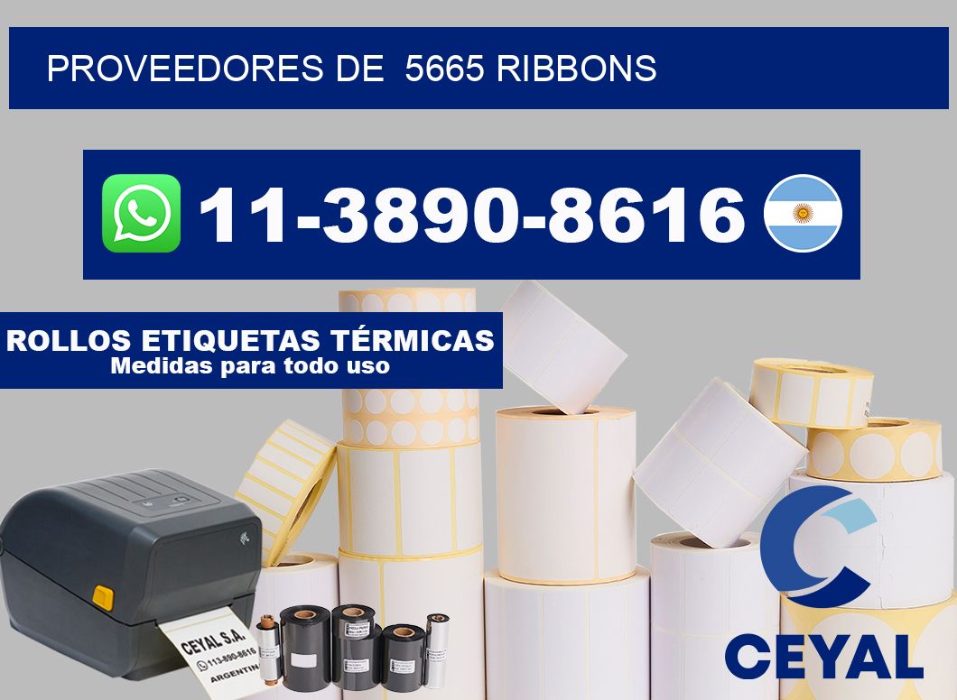 Proveedores de  5665 ribbons