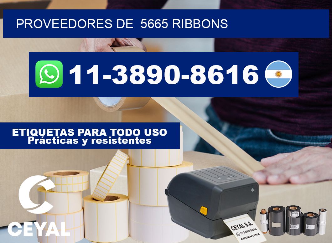 Proveedores de 5665 ribbons