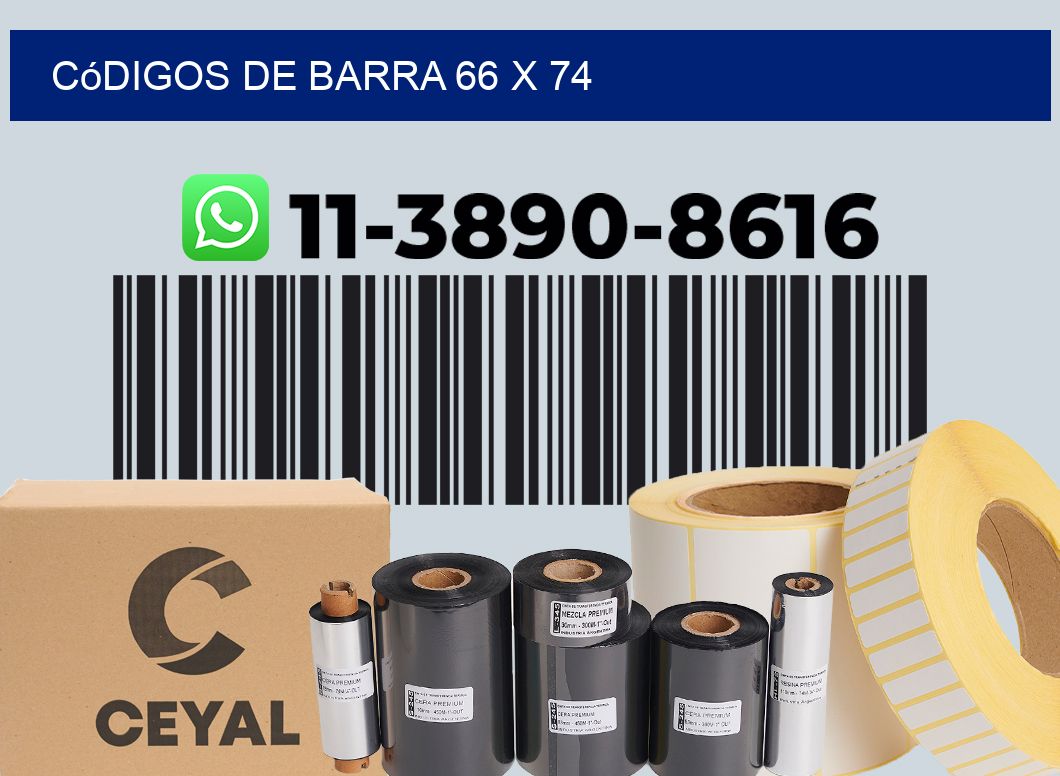 códigos de barra 66 x 74