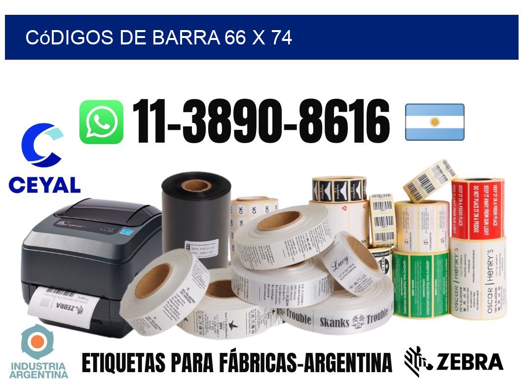 códigos de barra 66 x 74