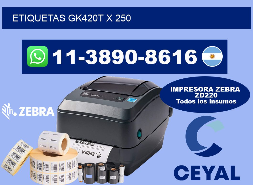 ETIQUETAS GK420T X 250