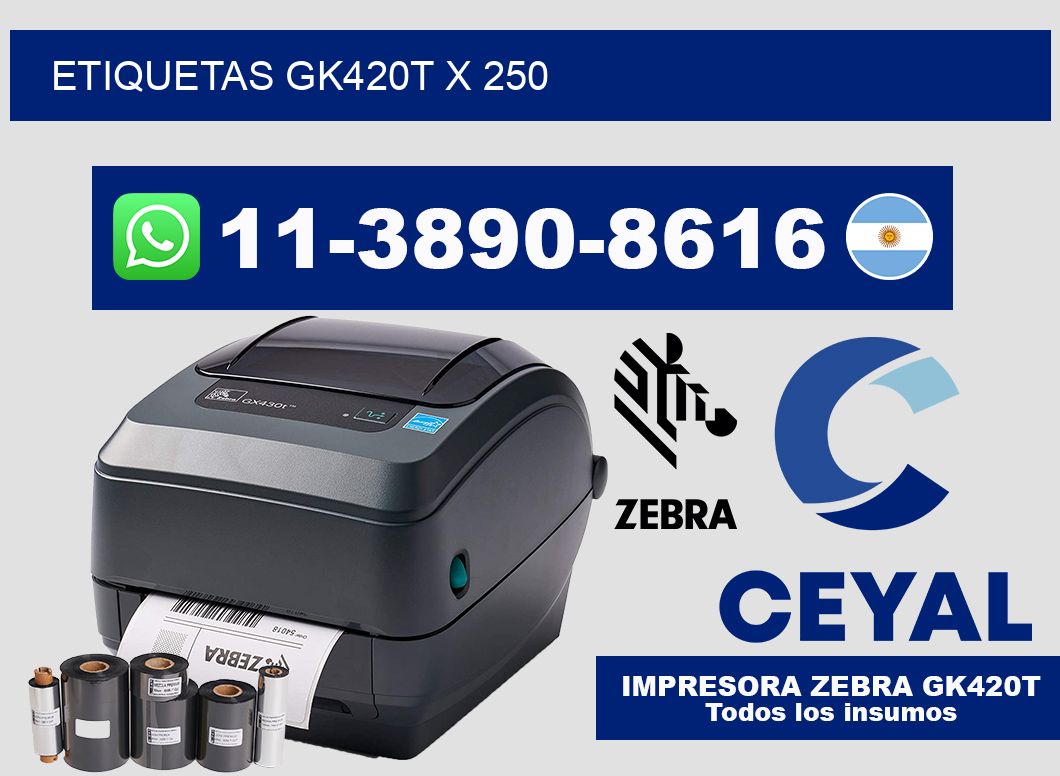 ETIQUETAS GK420T X 250